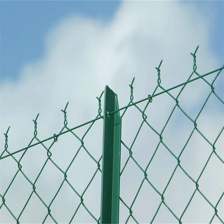 CHAIN LINK FENCE FOR ROAD FENCE